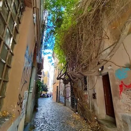 Angolo De Trastevere - Accogliente E Silenzioso